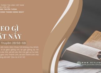 Gieo Gì Gặt Nấy – 26/7/2024