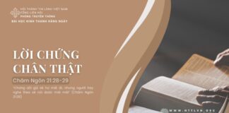 Lời Chứng Chân Thật – 28/7/2024