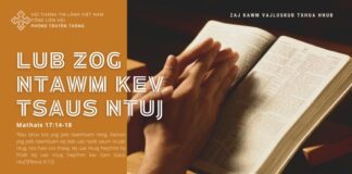 Lub Zog Ntawm Kev Tsaus Ntuj – 30/7/2024