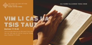 Vim Li Cas Ua Tsis Tau? – 31/7/2024