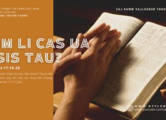 Vim Li Cas Ua Tsis Tau? – 31/7/2024