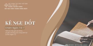 Kẻ Ngu Dốt – 6/7/2024