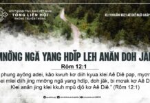 Mnơ̆ng Ngă Yang Hdĭp leh anăn Doh Jăk – 1/8/2024