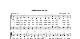 Bài hát: NGÀI LUÔN DÌU DẮT