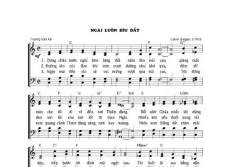 Bài hát: NGÀI LUÔN DÌU DẮT