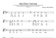 Bài hát: TRƯỞNG THÀNH