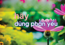 HÃY DÙNG PHẦN YẾU