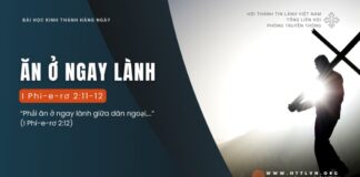 Ăn Ở Ngay Lành – 10/8/2024