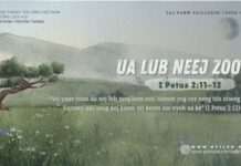 Ua Lub Neej Zoo – 10/8/2024