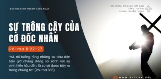 Sự Trông Cậy Của Cơ Đốc Nhân – 12/8/2024