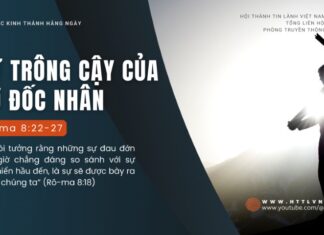 Sự Trông Cậy Của Cơ Đốc Nhân – 12/8/2024