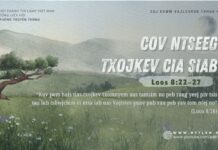 Cov Ntseeg Txojkev Cia Siab – 12/8/2024