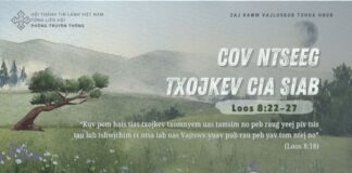 Cov Ntseeg Txojkev Cia Siab – 12/8/2024