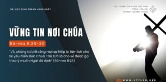 Vững Tin Nơi Chúa – 13/8/2024