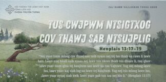 Tus Cwjpwm Ntsigtxog Cov Thawj Sab Ntsujplig – 16/8/2024