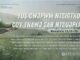 Tus Cwjpwm Ntsigtxog Cov Thawj Sab Ntsujplig – 16/8/2024
