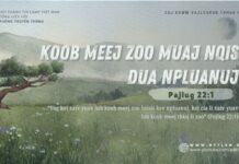 Koob Meej Zoo Muaj Nqis Dua Npluanuj – 18/8/2024