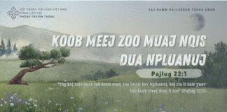 Koob Meej Zoo Muaj Nqis Dua Npluanuj – 18/8/2024