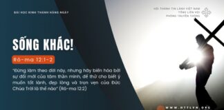 Sống Khác! – 2/8/2024