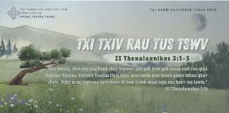 Txi Txiv Rau Tus Tswv – 21/8/2024