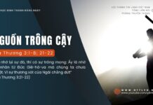 Nguồn Trông Cậy – 22/8/2024