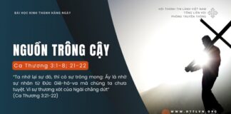 Nguồn Trông Cậy – 22/8/2024