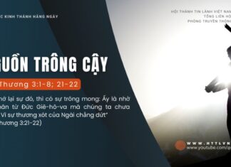 Nguồn Trông Cậy – 22/8/2024