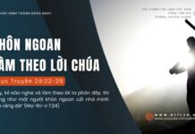 Khôn Ngoan Làm Theo Lời Chúa – 28/8/2024