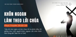 Khôn Ngoan Làm Theo Lời Chúa – 28/8/2024
