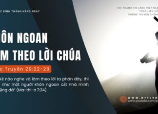 Khôn Ngoan Làm Theo Lời Chúa – 28/8/2024