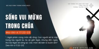 Sống Vui Mừng Trong Chúa – 29/8/2024