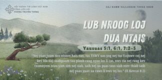 Lub Nroog Loj Dua Ntais – 3/8/2024