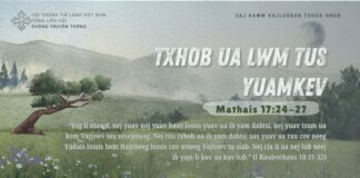 Txhob Ua Lwm Tus Yuamkev – 30/8/2024