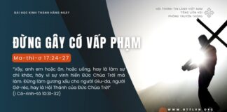 Đừng Gây Cớ Vấp Phạm – 30/8/2024