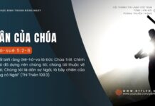 Dân Của Chúa – 4/8/2024