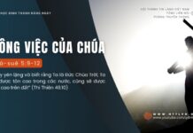 Công Việc Của Chúa – 5/8/2024