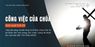 Công Việc Của Chúa – 5/8/2024