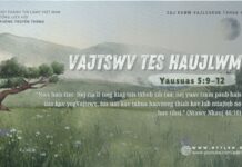 Vajtswv Tes Haujlwm – 5/8/2024