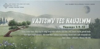 Vajtswv Tes Haujlwm – 5/8/2024