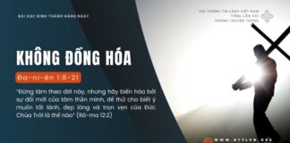Không Đồng Hóa – 8/8/2024