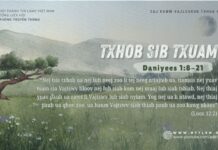 Txhob Sib Txuam – 8/8/2024