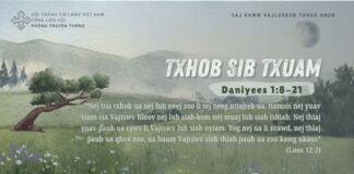 Txhob Sib Txuam – 8/8/2024