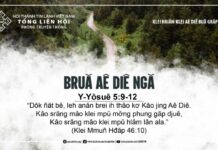 Bruă Aê Diê Ngă – 5/8/2024