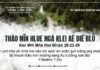 Thâo Mĭn Hlue Ngă Klei Aê Diê Blŭ – 28/8/2024