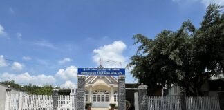 Bà Rịa – Vũng Tàu: Bồi Linh – Hiệp Nguyện Giáo Phẩm 8/2024