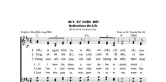 Bài hát: SUY TƯ CUỘC ĐỜI