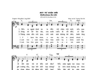 Bài hát: SUY TƯ CUỘC ĐỜI