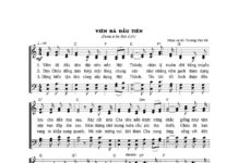 Bài hát: VIÊN ĐÁ ĐẦU TIÊN