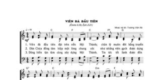 Bài hát: VIÊN ĐÁ ĐẦU TIÊN