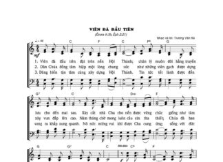 Bài hát: VIÊN ĐÁ ĐẦU TIÊN